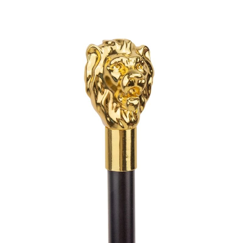 Bâton de Marche de Luxe