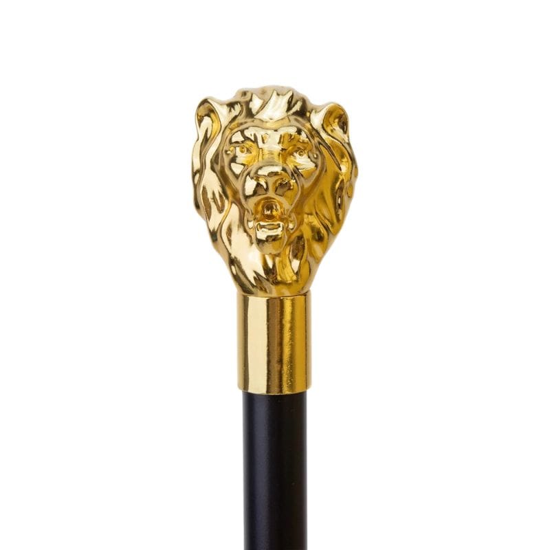 Bâton de Marche de Luxe