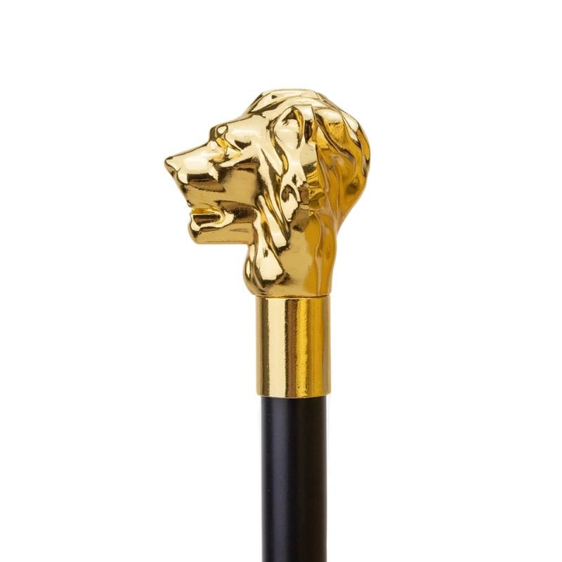 Bâton de Marche de Luxe