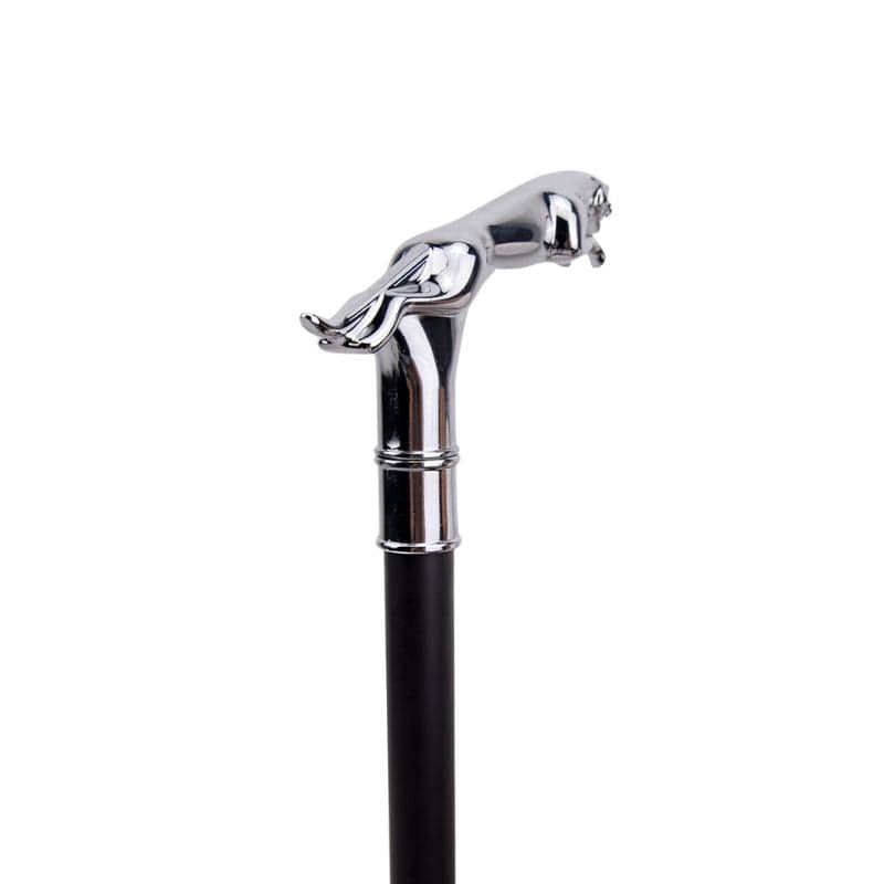 Canne de Marche Homme