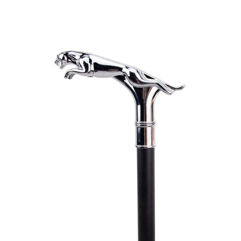 Canne de Marche Homme