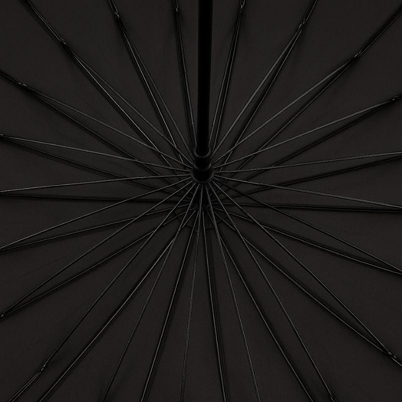 Canne de Marche Parapluie