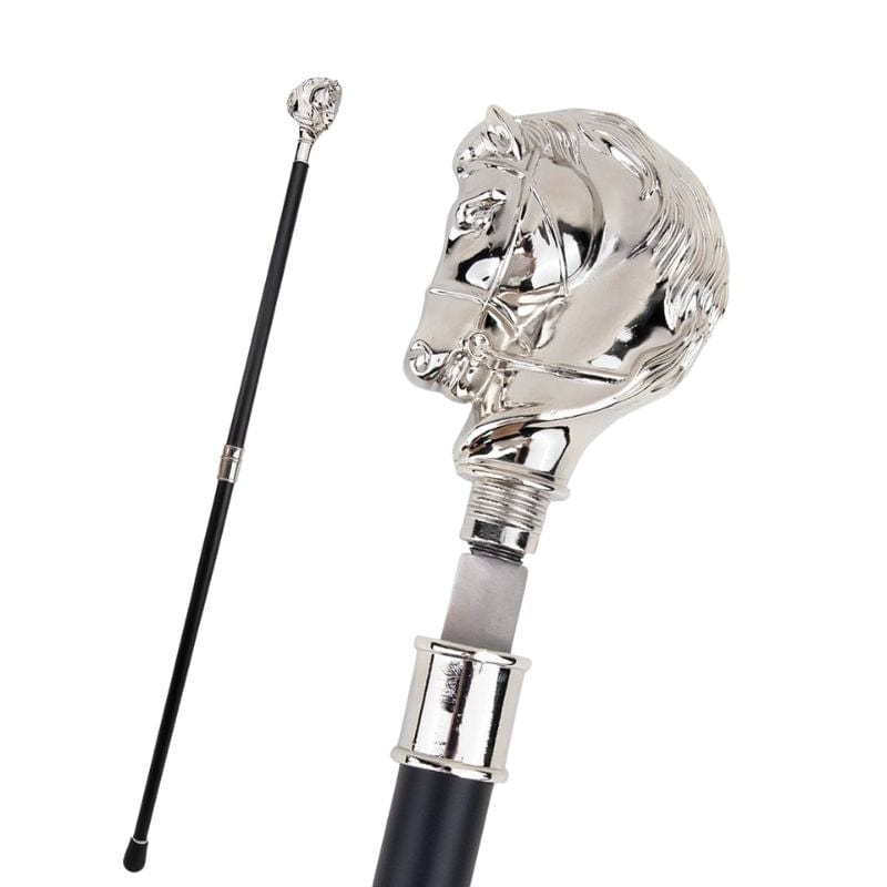 Canne en Argent