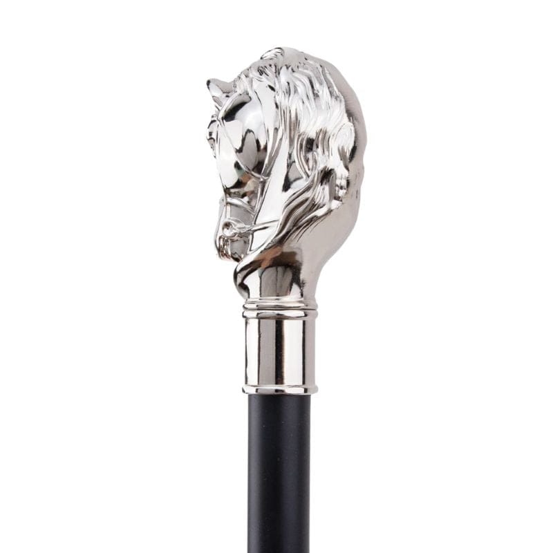 Canne en Argent