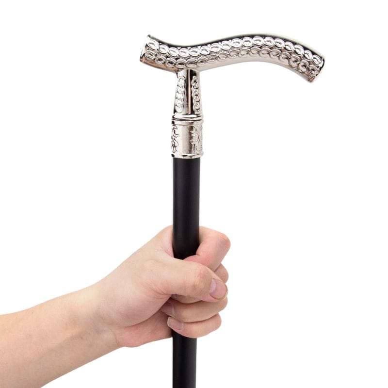 Canne Épée de Marche