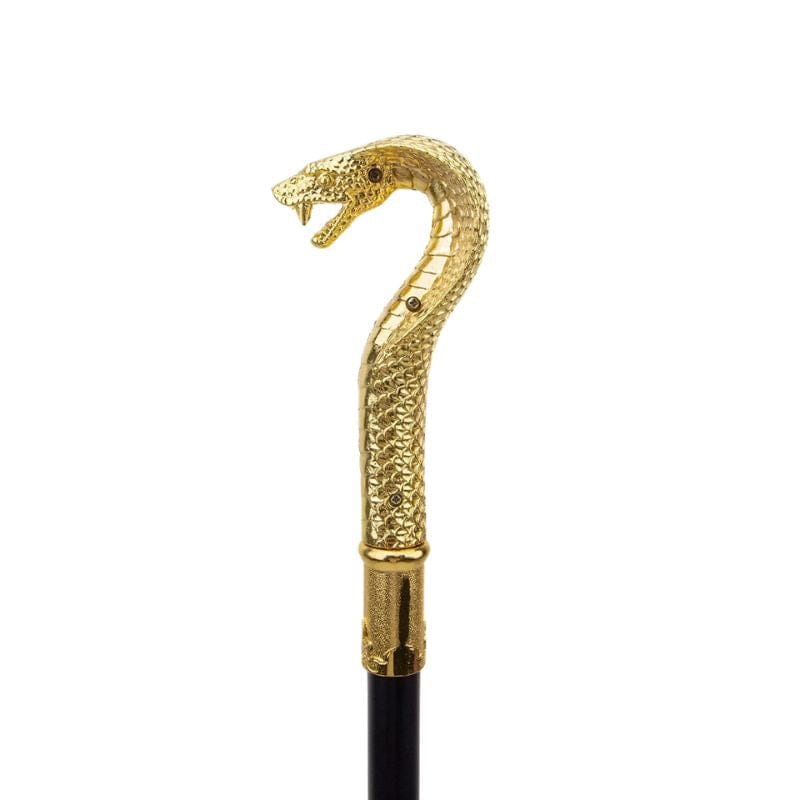 Canne Sculptée Serpent