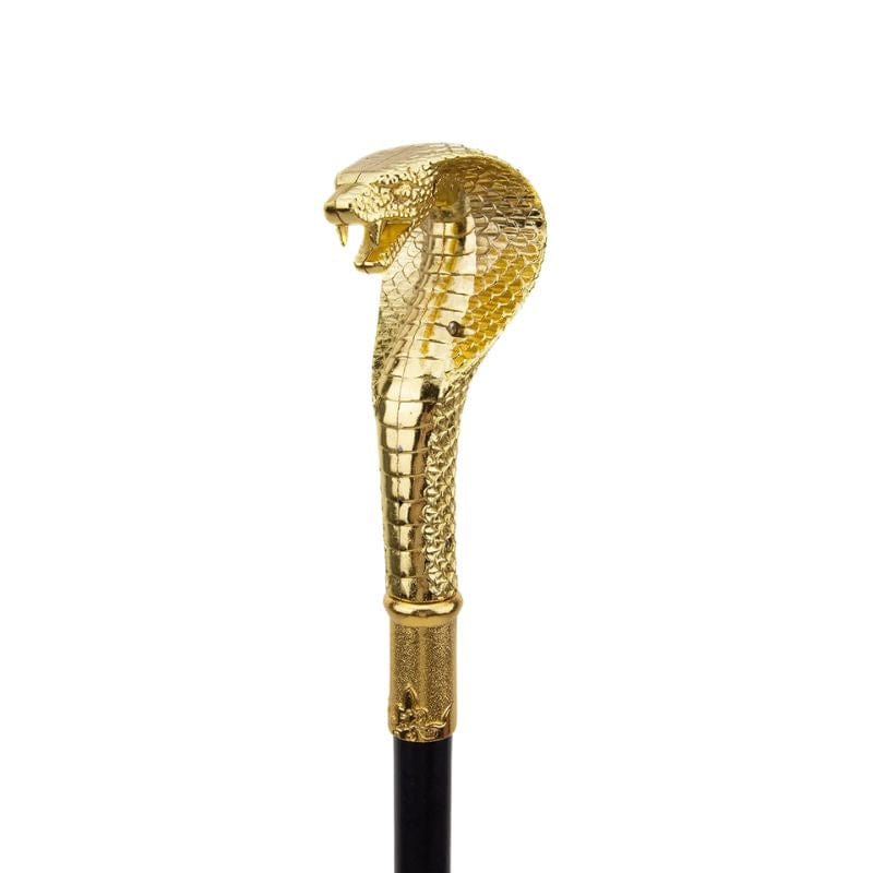 Canne Sculptée Serpent