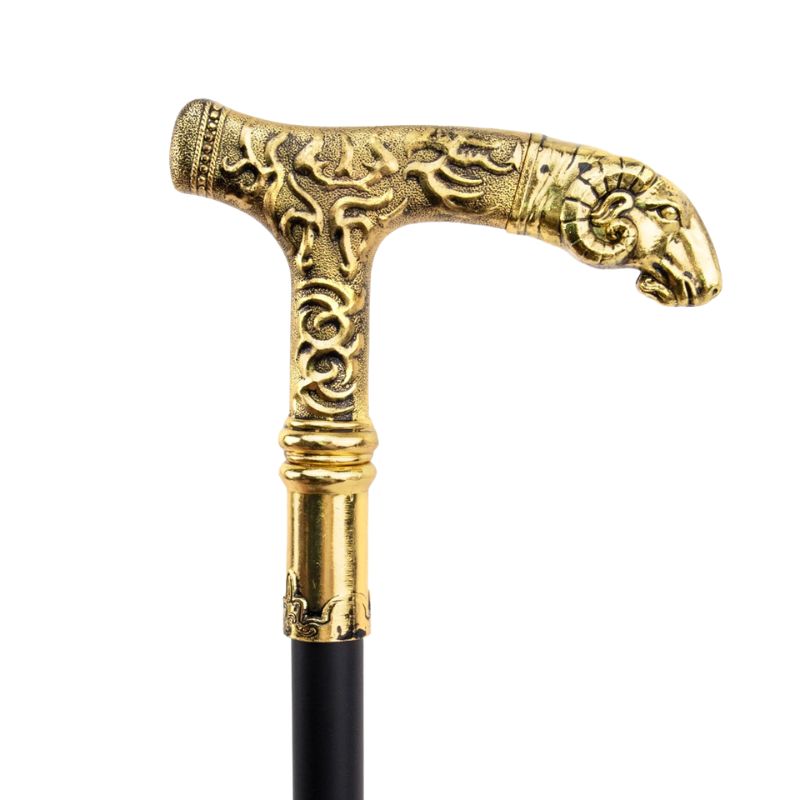 La Capricorne <br> Totem Animalier d'Appui