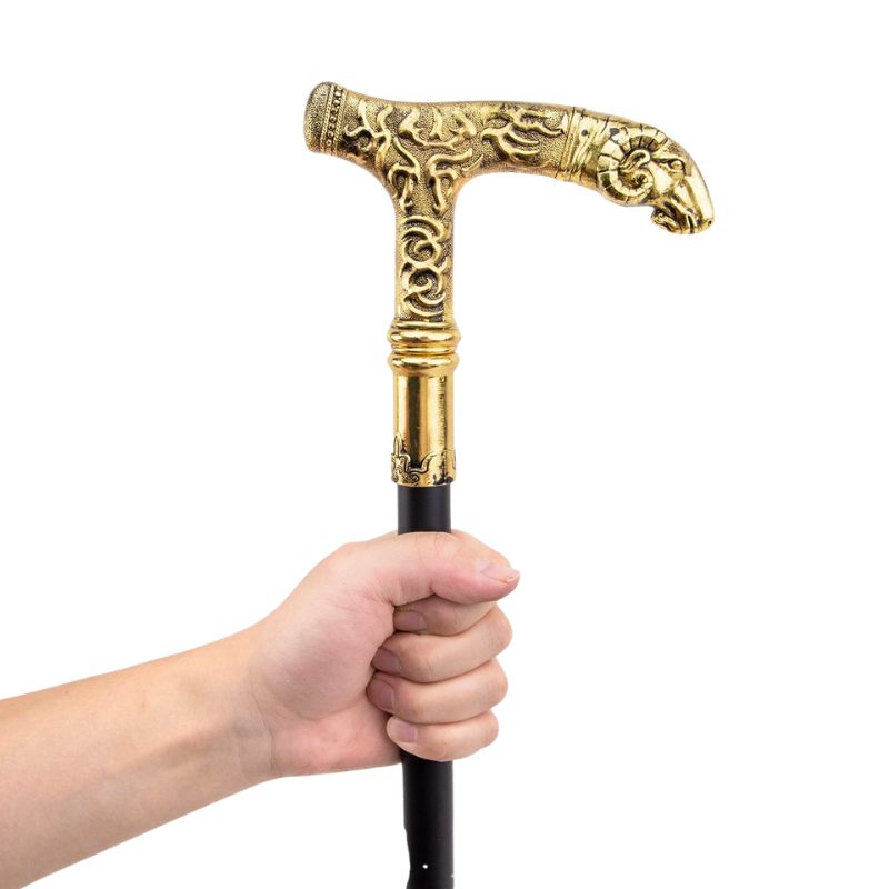 La Capricorne <br> Totem Animalier d'Appui