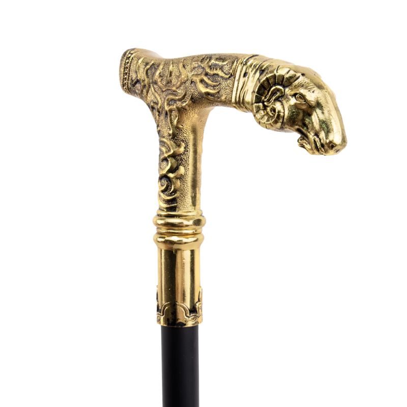 La Capricorne <br> Totem Animalier d'Appui