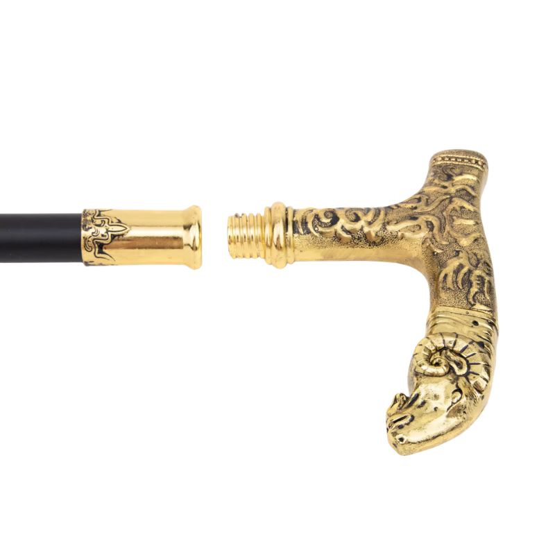 La Capricorne <br> Totem Animalier d'Appui