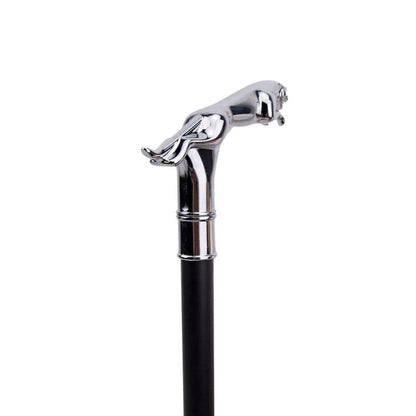 Canne de Marche Homme