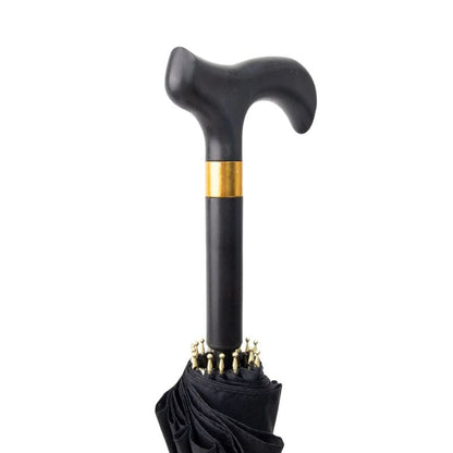 Canne de Marche Parapluie