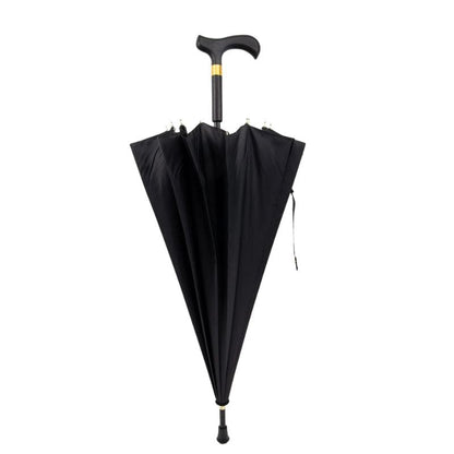 Canne de Marche Parapluie