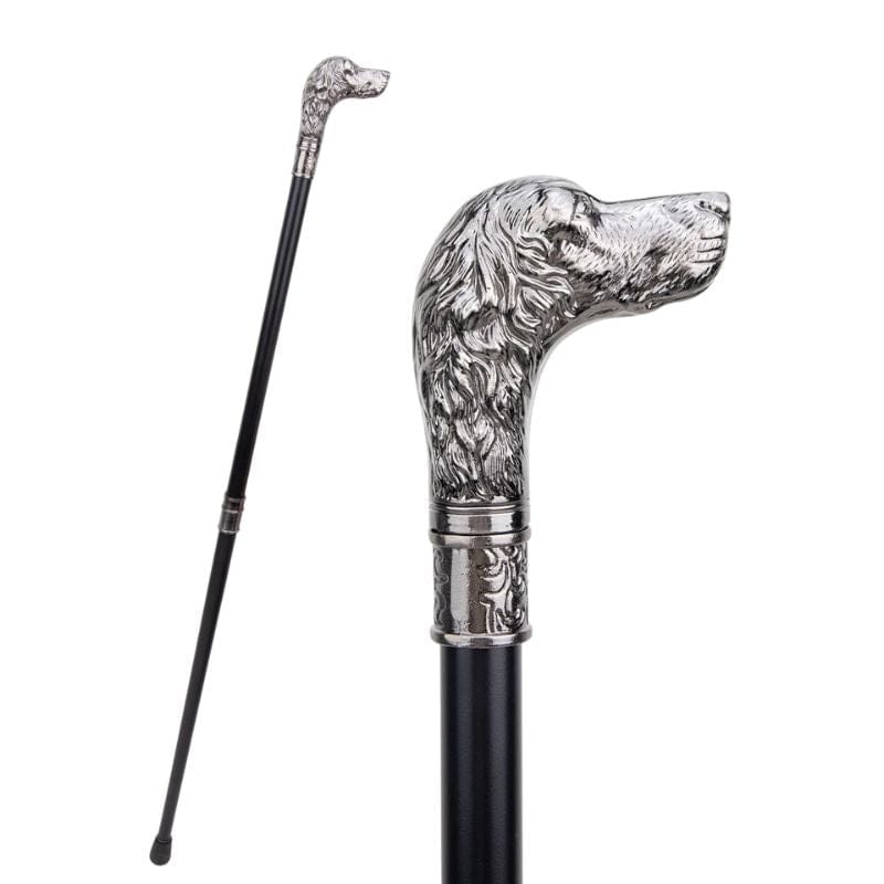 Canne Épée 19ème
