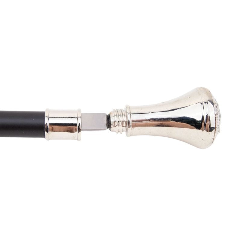 Canne Épée Homme Moderne