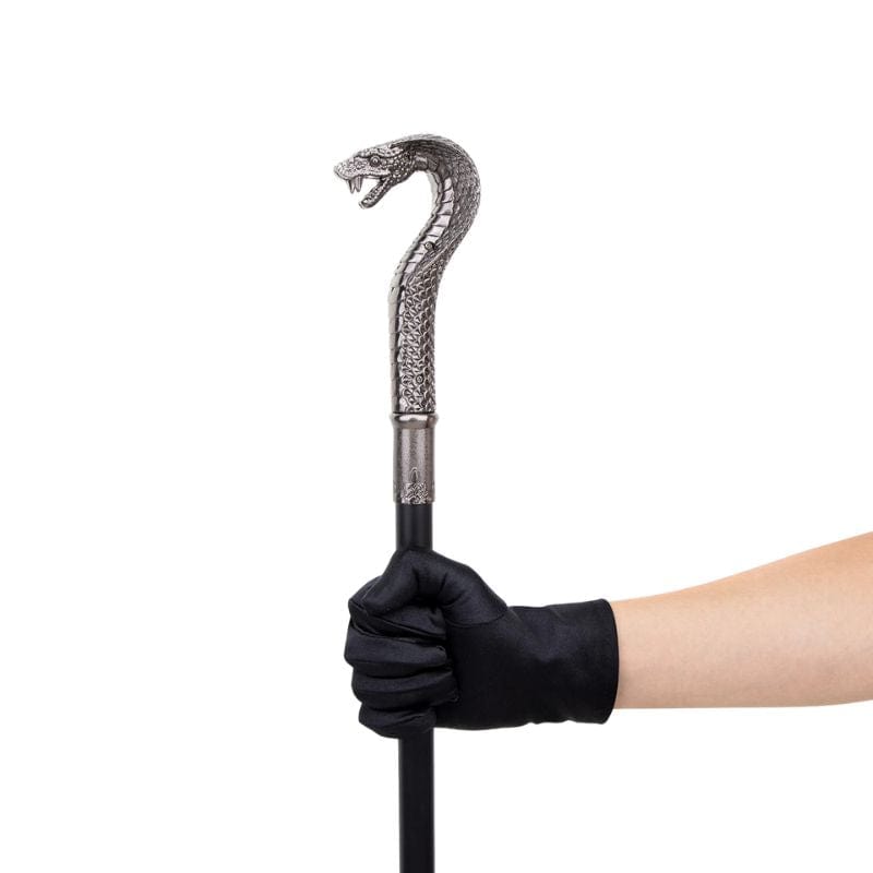 Canne Épée Serpent