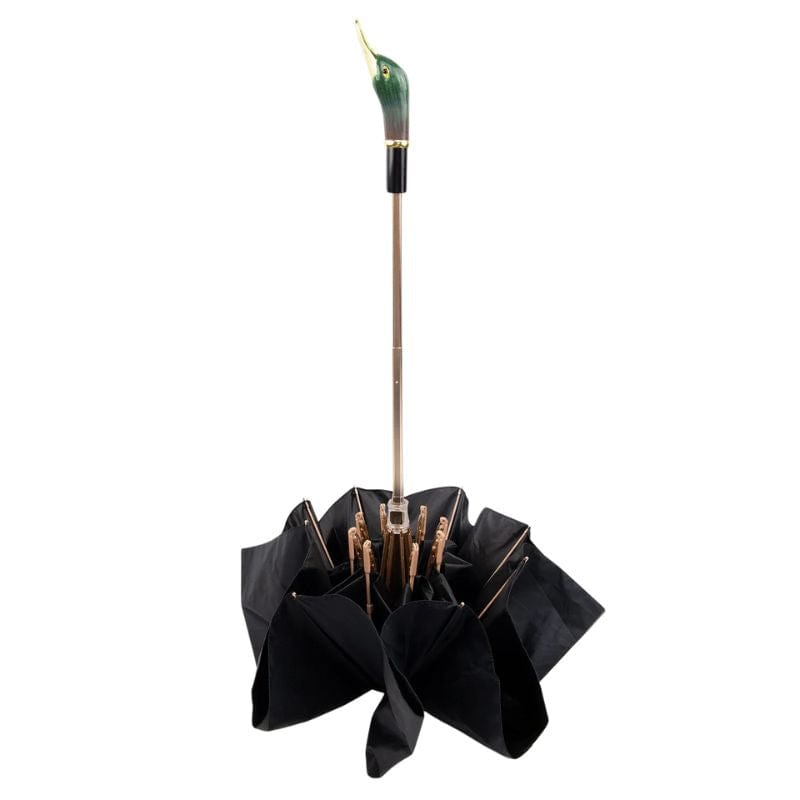 Parapluie Canard