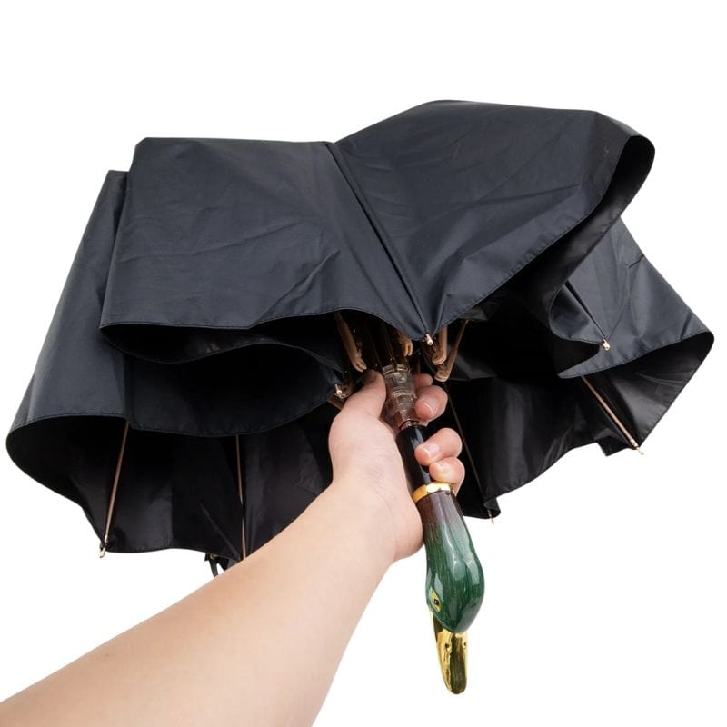 Parapluie Canard