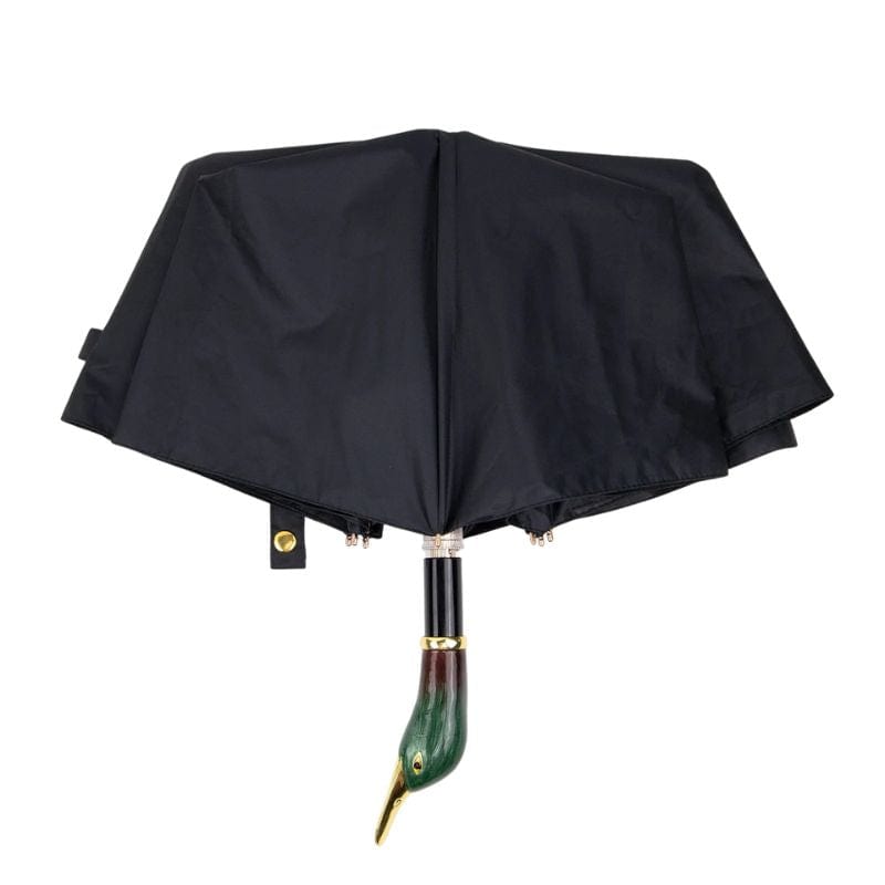 Parapluie Canard
