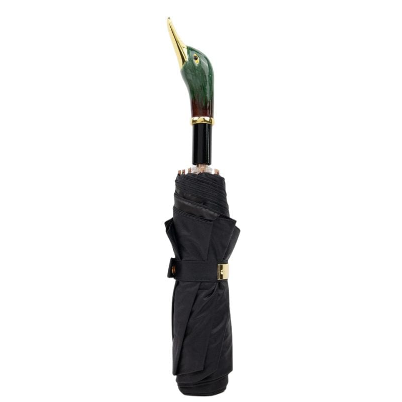 Parapluie Canard