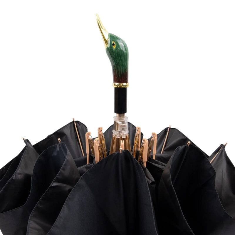 Parapluie Canard